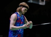 AYX官方直播-印度队轻取法国队，安赛龙关键制胜