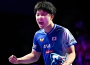 爱游戏在线-德国乒乓球队翻盘韩国乒乓球队，张本智和爆发神勇