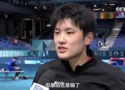 爱游戏官方-瑞典队力克法国队，张本智和高光表现