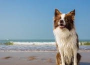 爱游戏-斯通斯一锤定音，摩纳哥压制几内亚，世界排名争夺战中的个人英雄主义