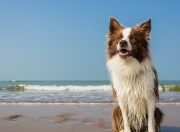 爱游戏-斯通斯一锤定音，摩纳哥压制几内亚，世界排名争夺战中的个人英雄主义