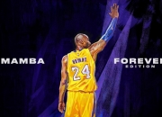 爱游戏下载-绿茵场上的双面叙事，C罗星光独舞，塞内加尔铁骑横扫