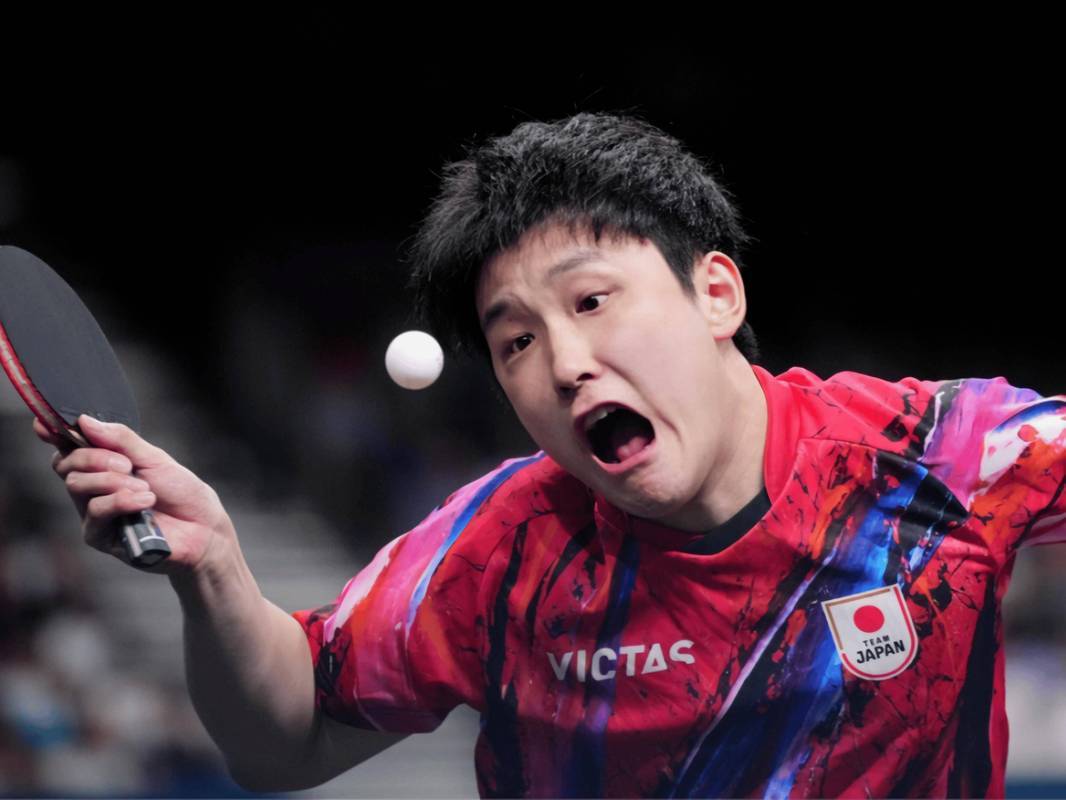 韩国队险胜法国队，张本智和点燃赛场