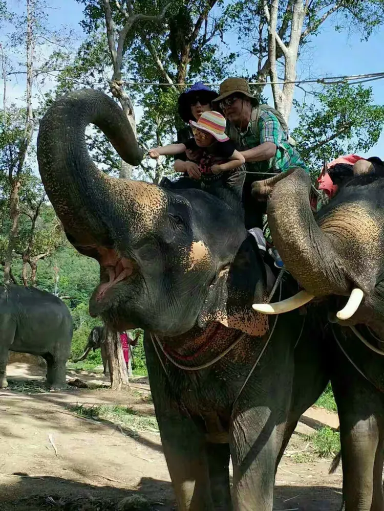 马来西亚队横扫泰国队,辛杜状态火热 马来西亚队横扫泰国队,辛杜状态火热