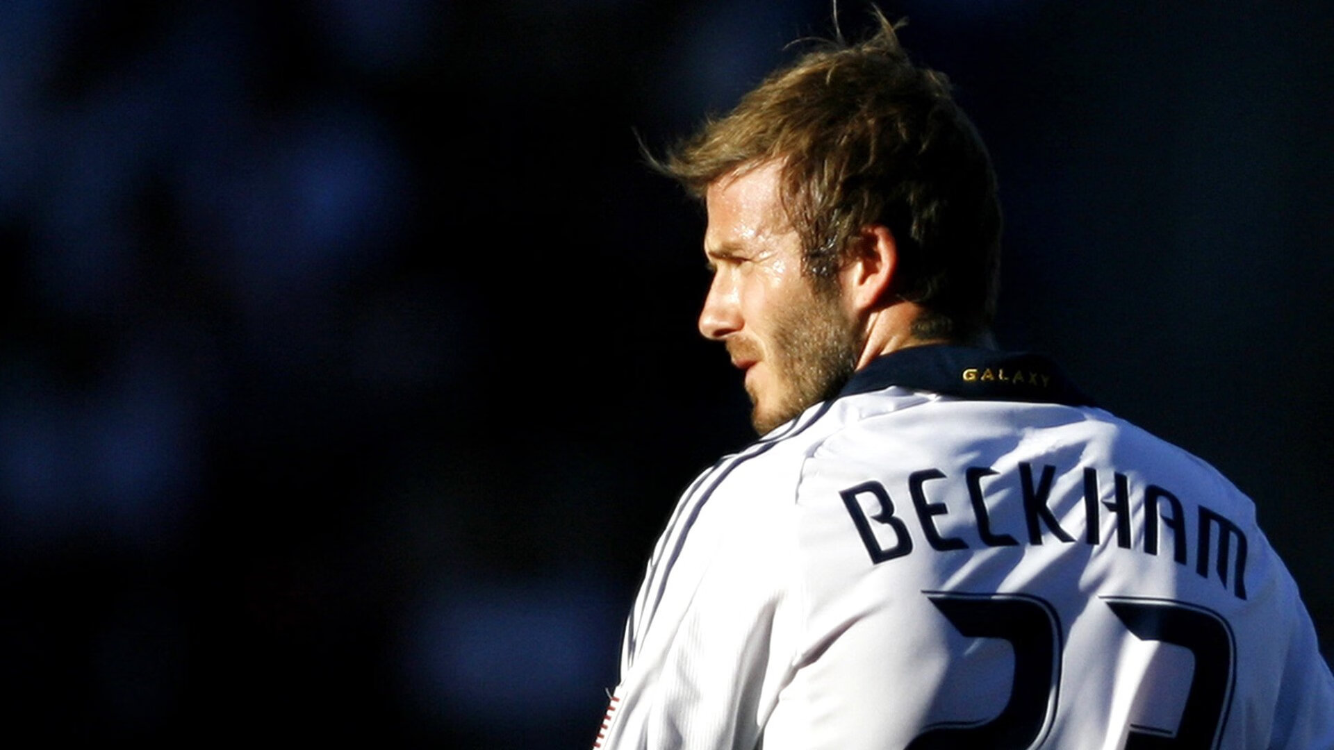 东决关键战之夜，布鲁诺进攻端无人可挡